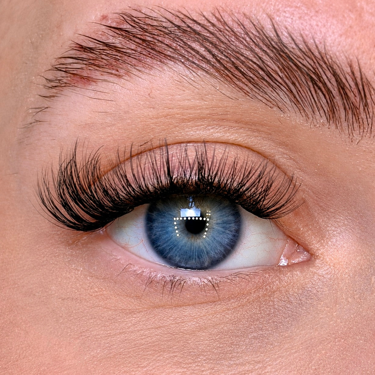 Close-up of a blue eye with long eyelashes and a blurred background